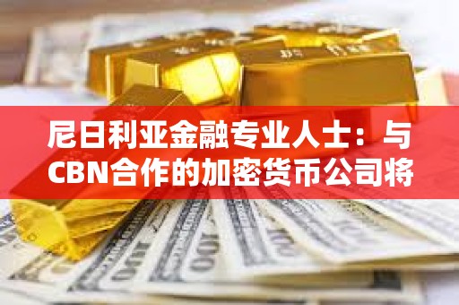 尼日利亞金融專業(yè)人士：與CBN合作的加密貨幣公司將在未來引領(lǐng)該行業(yè)