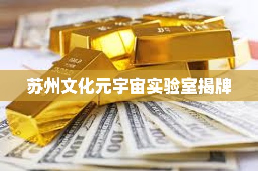 蘇州文化元宇宙實(shí)驗(yàn)室揭牌