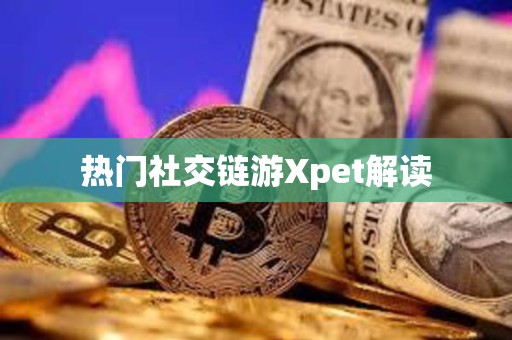 熱門社交鏈游Xpet解讀