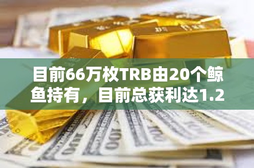 目前66萬枚TRB由20個鯨魚持有，目前總獲利達1.2億美元
