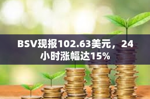 BSV現報102.63美元，24小時漲幅達15%