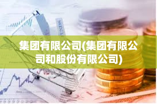 集團(tuán)有限公司(集團(tuán)有限公司和股份有限公司)