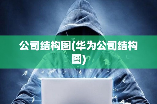 公司結構圖(華為公司結構圖)
