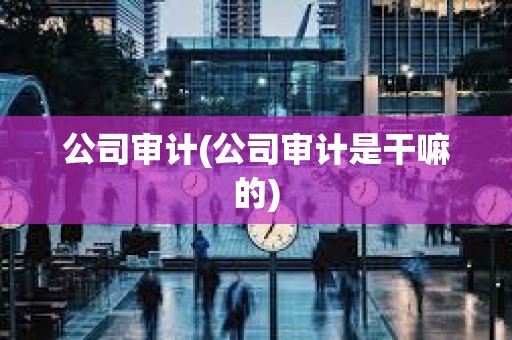 公司審計(公司審計是干嘛的)