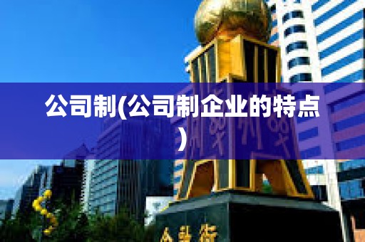 公司制(公司制企業的特點)