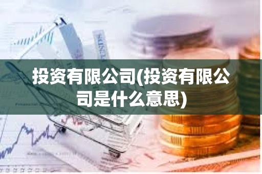 投資有限公司(投資有限公司是什么意思)