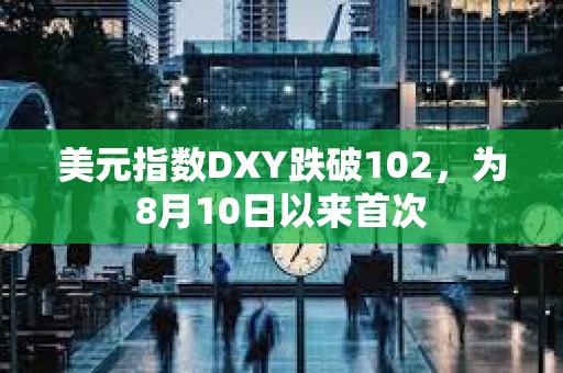 美元指數(shù)DXY跌破102，為8月10日以來(lái)首次