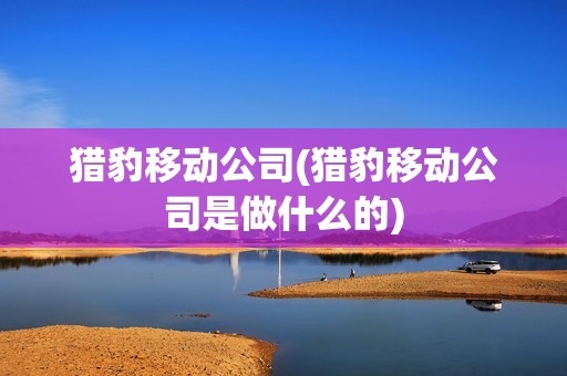 獵豹移動公司(獵豹移動公司是做什么的)
