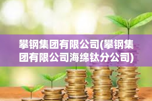 攀鋼集團有限公司(攀鋼集團有限公司海綿鈦分公司)
