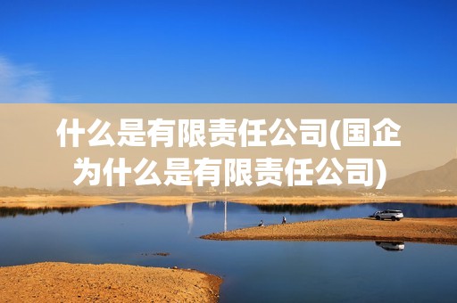什么是有限責任公司(國企為什么是有限責任公司)