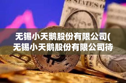 無錫小天鵝股份有限公司(無錫小天鵝股份有限公司待遇怎么樣)