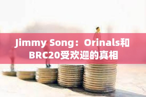 Jimmy Song：Orinals和BRC20受歡迎的真相