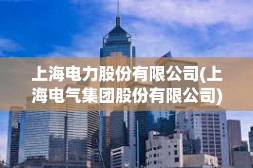 上海電力股份有限公司(上海電氣集團股份有限公司)