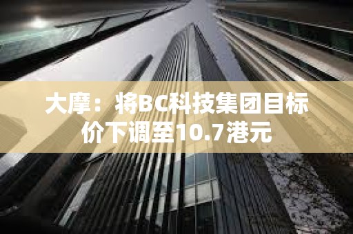 大摩：將BC科技集團目標價下調至10.7港元