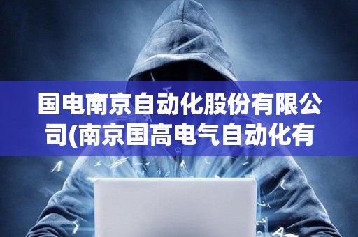 國(guó)電南京自動(dòng)化股份有限公司(南京國(guó)高電氣自動(dòng)化有限公司)