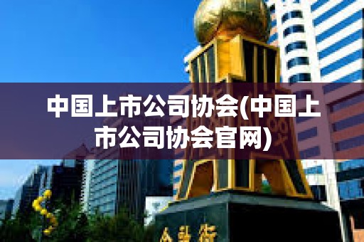 中國上市公司協會(中國上市公司協會官網) 中國上市公司協會(中國上市公司協會官網)