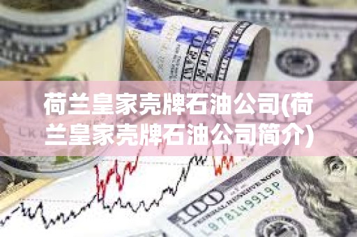荷蘭皇家殼牌石油公司(荷蘭皇家殼牌石油公司簡介)