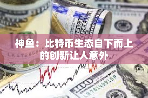 神魚：比特幣生態自下而上的創新讓人意外