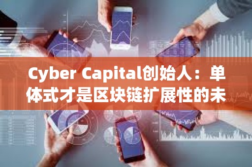 Cyber Capital創始人：單體式才是區塊鏈擴展性的未來
