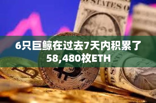 6只巨鯨在過去7天內積累了58,480枚ETH 6只巨鯨在過去7天內積累了58,480枚ETH
