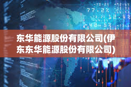東華能源股份有限公司(伊東東華能源股份有限公司)
