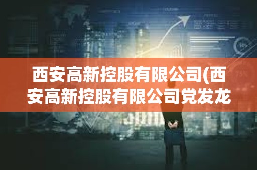 西安高新控股有限公司(西安高新控股有限公司黨發龍) 西安高新控股有限公司(西安高新控股有限公司黨發龍)