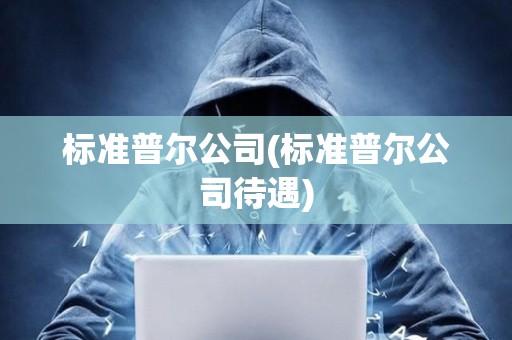 標準普爾公司(標準普爾公司待遇)