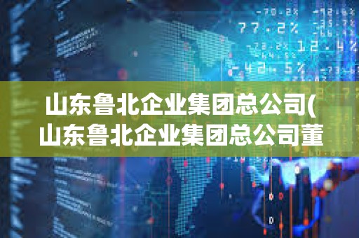 山東魯北企業集團總公司(山東魯北企業集團總公司董事長)