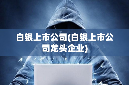 白銀上市公司(白銀上市公司龍頭企業(yè))