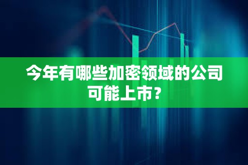今年有哪些加密領域的公司可能上市？