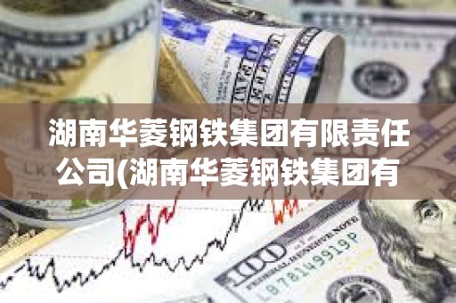 湖南華菱鋼鐵集團有限責任公司(湖南華菱鋼鐵集團有限責任公司是國企嗎)