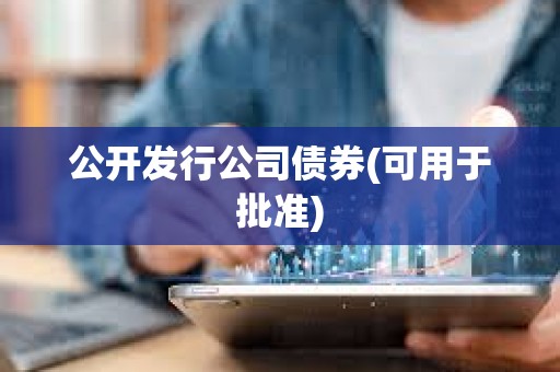 公開發(fā)行公司債券(可用于批準) 公開發(fā)行公司債券(可用于批準)