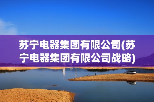 蘇寧電器集團(tuán)有限公司(蘇寧電器集團(tuán)有限公司戰(zhàn)略) 蘇寧電器集團(tuán)有限公司(蘇寧電器集團(tuán)有限公司戰(zhàn)略)