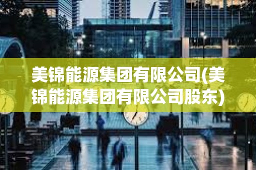 美錦能源集團有限公司(美錦能源集團有限公司股東) 美錦能源集團有限公司(美錦能源集團有限公司股東)