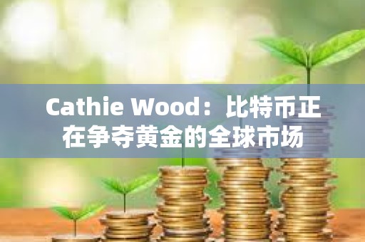Cathie Wood：比特幣正在爭奪黃金的全球市場