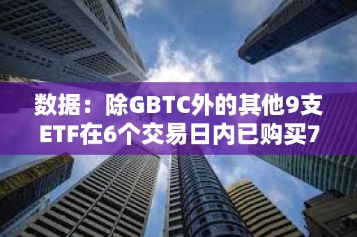 數據：除GBTC外的其他9支ETF在6個交易日內已購買7.96萬枚BTC