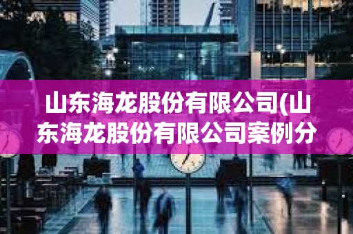 山東海龍股份有限公司(山東海龍股份有限公司案例分析) 山東海龍股份有限公司(山東海龍股份有限公司案例分析)