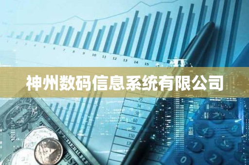 神州數碼信息系統有限公司 神州數碼信息系統有限公司