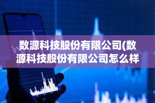 數源科技股份有限公司(數源科技股份有限公司怎么樣)