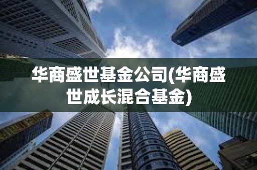 華商盛世基金公司(華商盛世成長混合基金)