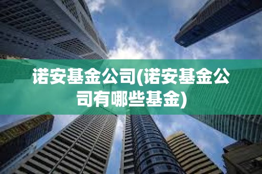 諾安基金公司(諾安基金公司有哪些基金) 諾安基金公司(諾安基金公司有哪些基金)