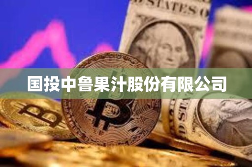 國投中魯果汁股份有限公司