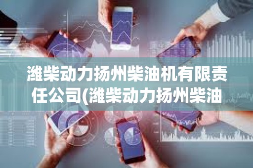 濰柴動力揚州柴油機有限責任公司(濰柴動力揚州柴油機有限責任公司營業執照)