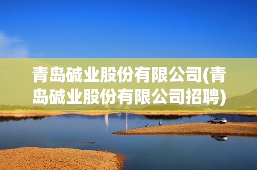 青島堿業股份有限公司(青島堿業股份有限公司招聘)
