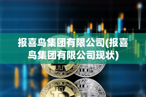 報喜鳥集團有限公司(報喜鳥集團有限公司現狀)