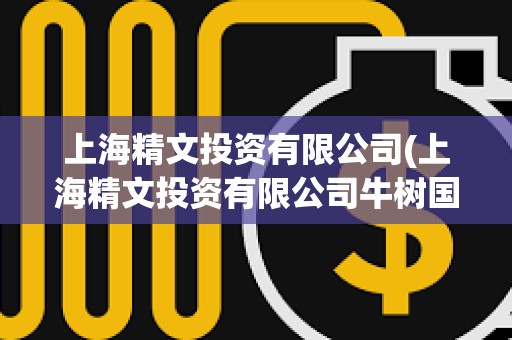 上海精文投資有限公司(上海精文投資有限公司牛樹國(guó))