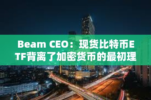 Beam CEO：現貨比特幣ETF背離了加密貨幣的最初理想
