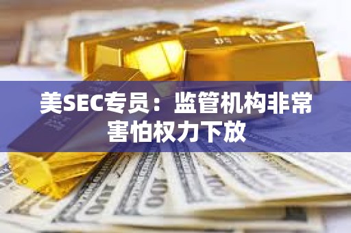 美SEC專員：監管機構非常害怕權力下放