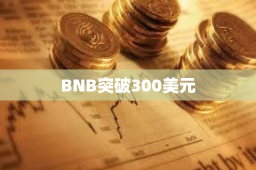 BNB突破300美元