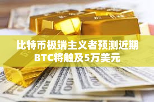 比特幣極端主義者預(yù)測近期BTC將觸及5萬美元